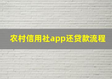 农村信用社app还贷款流程