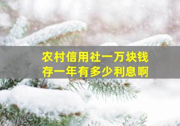 农村信用社一万块钱存一年有多少利息啊