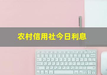 农村信用社今日利息