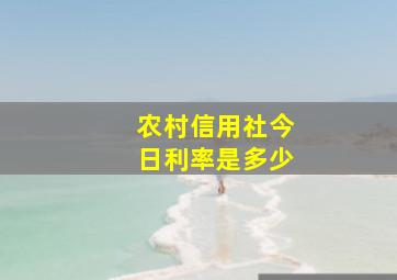 农村信用社今日利率是多少