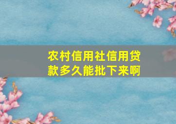 农村信用社信用贷款多久能批下来啊