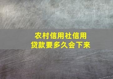 农村信用社信用贷款要多久会下来