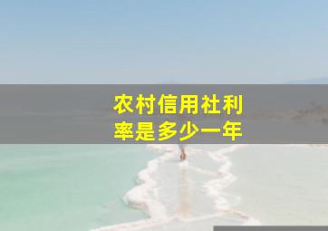 农村信用社利率是多少一年