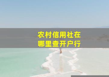 农村信用社在哪里查开户行