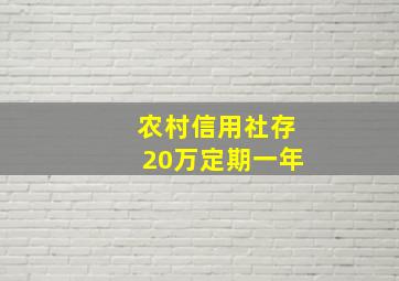 农村信用社存20万定期一年