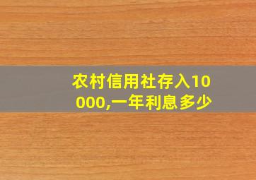 农村信用社存入10000,一年利息多少