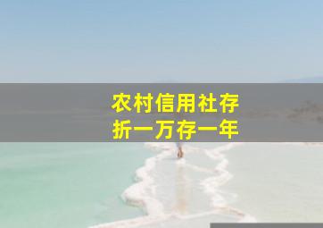 农村信用社存折一万存一年