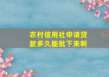 农村信用社申请贷款多久能批下来啊