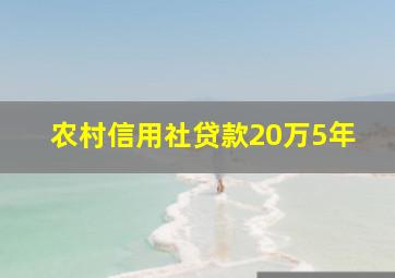 农村信用社贷款20万5年