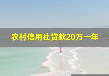 农村信用社贷款20万一年