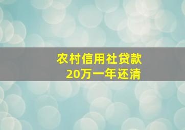 农村信用社贷款20万一年还清