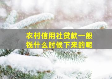 农村信用社贷款一般钱什么时候下来的呢