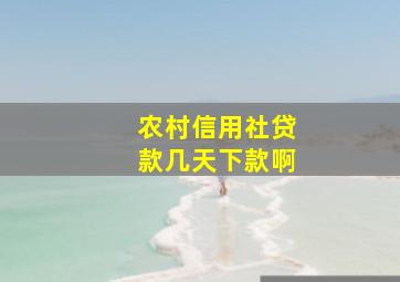 农村信用社贷款几天下款啊