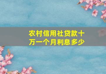 农村信用社贷款十万一个月利息多少