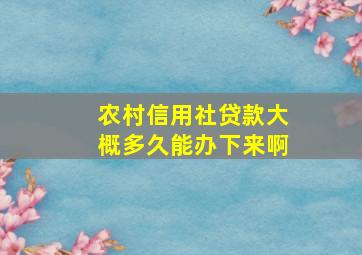 农村信用社贷款大概多久能办下来啊