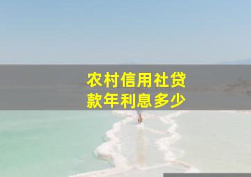 农村信用社贷款年利息多少