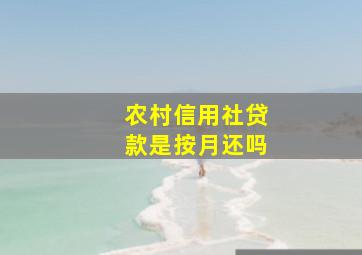 农村信用社贷款是按月还吗