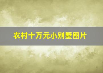 农村十万元小别墅图片