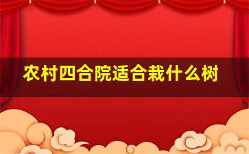 农村四合院适合栽什么树