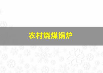 农村烧煤锅炉