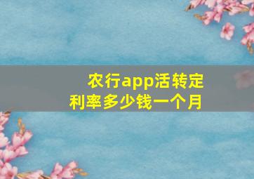 农行app活转定利率多少钱一个月