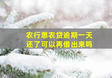 农行惠农贷逾期一天还了可以再借出来吗