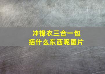 冲锋衣三合一包括什么东西呢图片