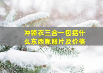 冲锋衣三合一包括什么东西呢图片及价格