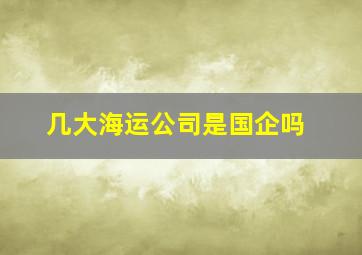 几大海运公司是国企吗