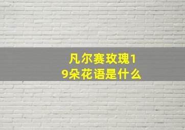 凡尔赛玫瑰19朵花语是什么