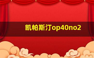 凯帕斯汀op40no2