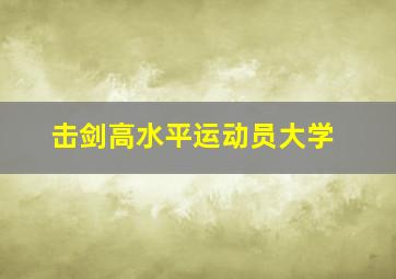 击剑高水平运动员大学