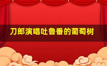 刀郎演唱吐鲁番的葡萄树