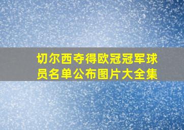 切尔西夺得欧冠冠军球员名单公布图片大全集