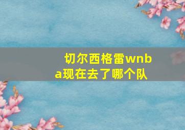 切尔西格雷wnba现在去了哪个队