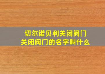 切尔诺贝利关闭阀门关闭阀门的名字叫什么