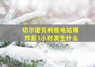 切尔诺贝利核电站爆炸前1小时发生什么