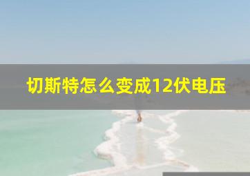 切斯特怎么变成12伏电压