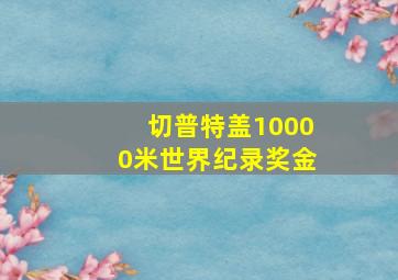 切普特盖10000米世界纪录奖金