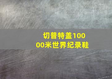 切普特盖10000米世界纪录鞋