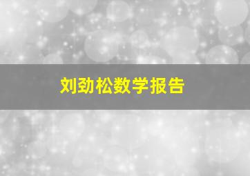 刘劲松数学报告