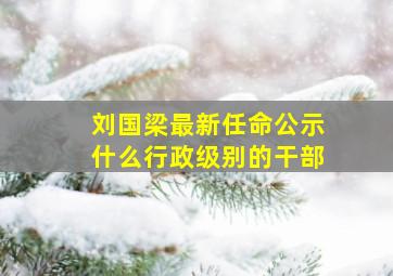 刘国梁最新任命公示什么行政级别的干部