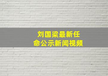 刘国梁最新任命公示新闻视频