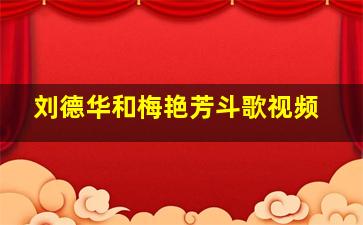 刘德华和梅艳芳斗歌视频