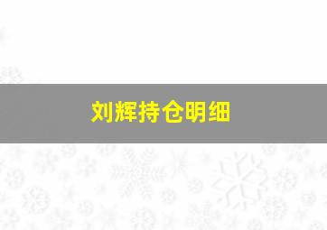 刘辉持仓明细