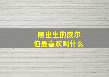 刚出生的威尔伯最喜欢喝什么