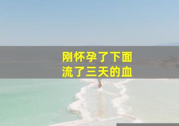 刚怀孕了下面流了三天的血