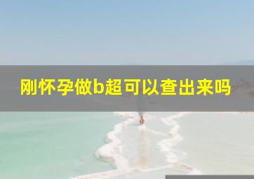 刚怀孕做b超可以查出来吗