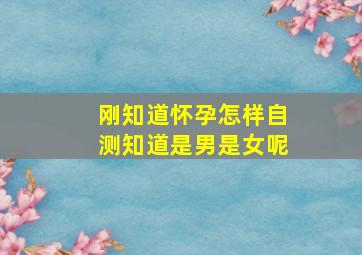 刚知道怀孕怎样自测知道是男是女呢