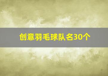 创意羽毛球队名30个